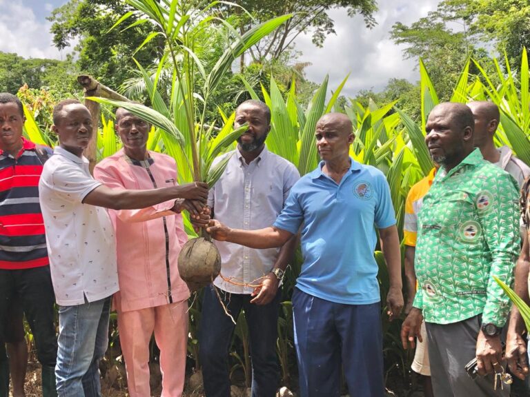 Akrofuom District Assembly encourages large-scale coconut plantation