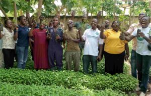 Pictures show some staff of the Sunyani Forest Services Division at the nursery sites 