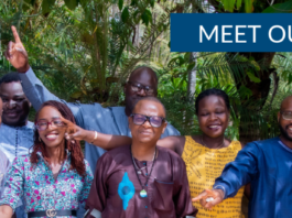 Impact West Africa Fellowship program