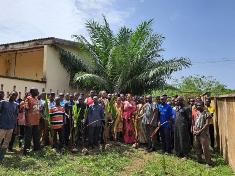 Over 35,000 coconut seedlings distributed to farmers in Biakoye