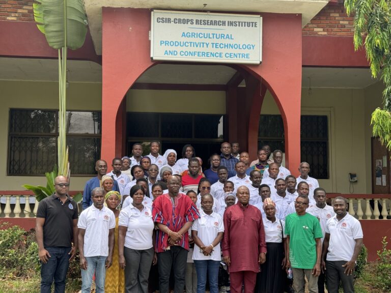 CSIR engages farmers in indigenous leafy vegetable production