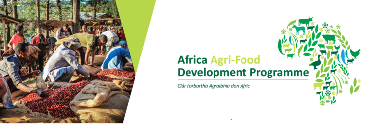 Africa Agri-Food Development Programme (AADP)