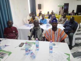 Participants during the workshop