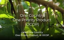 One Country One Priority Product