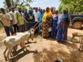Sissala East MCE, Mr. Fuseini Batong Yakubu hands over goats to beneficiaries at Tumu