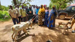 Sissala East MCE, Mr. Fuseini Batong Yakubu hands over goats to beneficiaries at Tumu