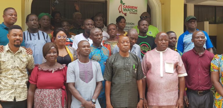 Cashew farmers urged to produce quality nuts