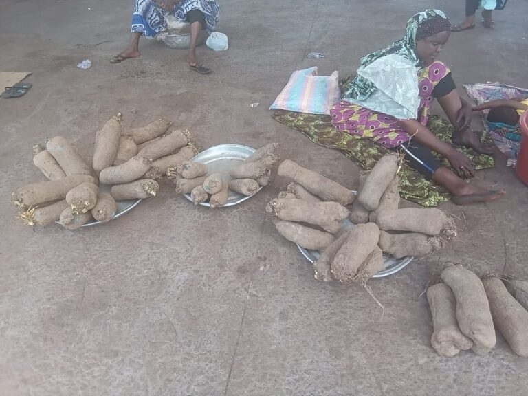 Some tubers of yam in Tamale Central Market 