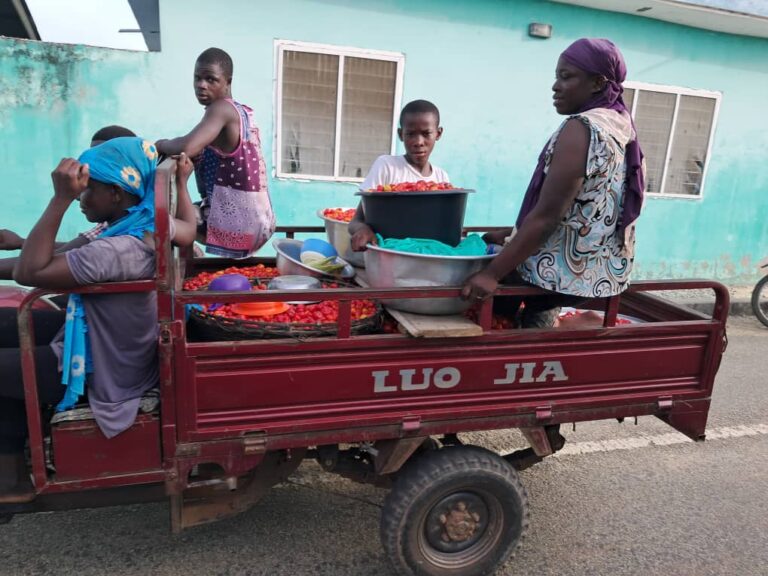 Women tomato farmers build primary school block for Kamgbunli community