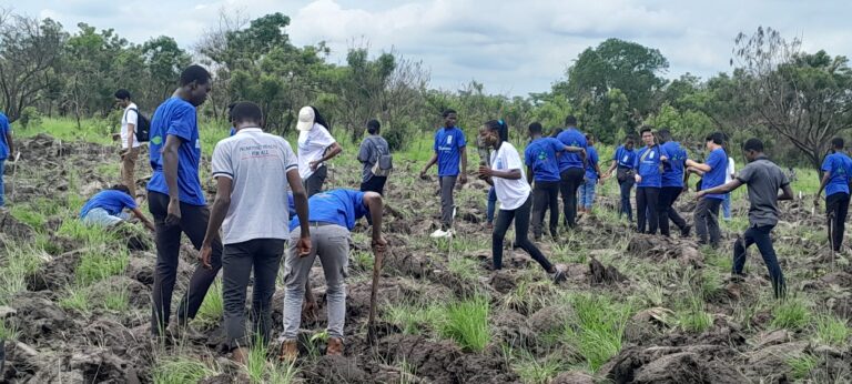 United Nations Development Programme, partners plant trees to restore Chipa forest reserve 