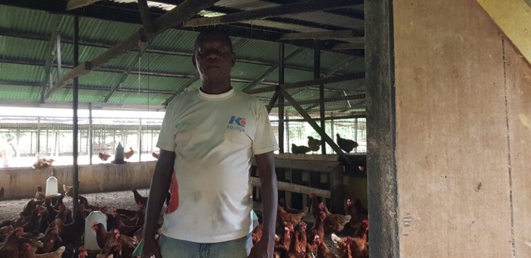 Picture shows Mr Korang, Chairman of the Sunyani Municipal branch of Poultry Farmers Association 