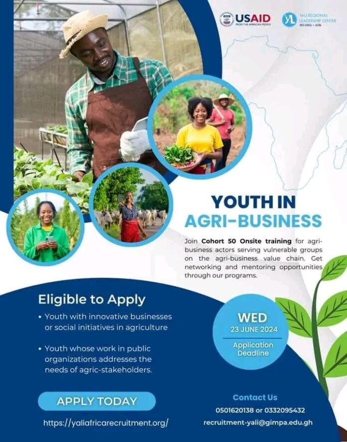 YALI RLC West Africa, Accra’s Hybrid Sector-specific Training Program “YOUTH IN AGRI-BUSINESS”