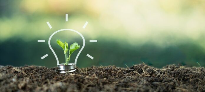 The Vegan Society Grant
