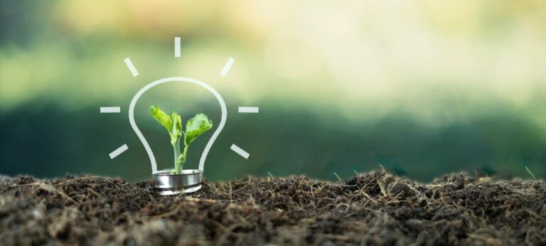 The Vegan Society Grant