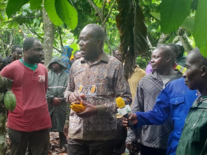 Economics Cocoa Education