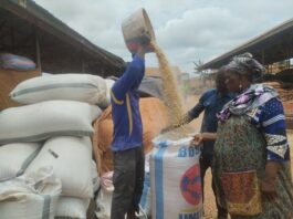 picture shows some of the foreign traders at the maize market