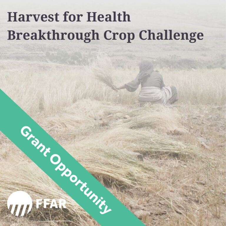 Harvest for Health Breakthrough Crop Challenge