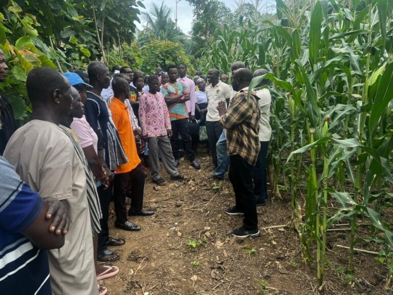 Crop farmers exposed to agroecological practices for sustainable food production