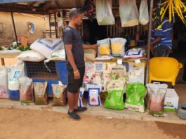 Paapa Enterprise displays various seeds on sale