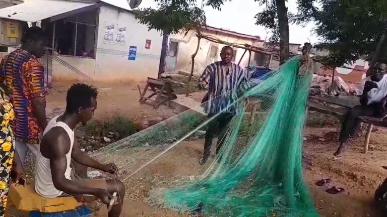 Visible signs of illegal fishing gear at landing beaches, Fisheries Alliance says