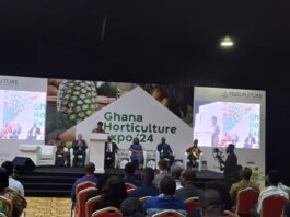 Ghana hosts first-ever Horticulture Expo   
