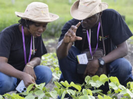Accelerating African Women’s Leadership in Climate Action Fellowship