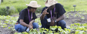 Accelerating African Women’s Leadership in Climate Action Fellowship