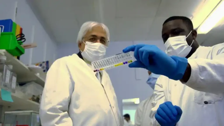 AREF Research Development Fellowship Programme