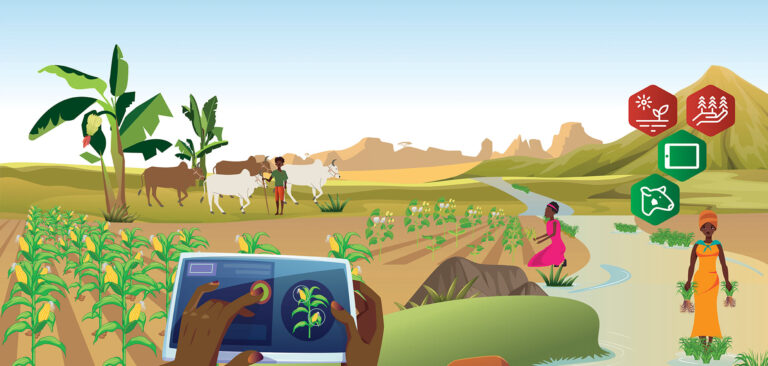 AgriTech4Kenya Innovation Challenge 2024