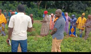 Farmers on the field