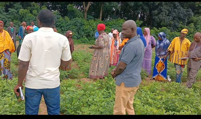 Farmers on the field