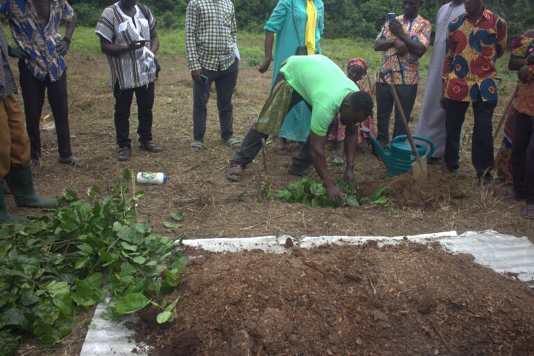 Peasant Farmers Association forms agro-ecology group