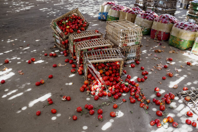 Over 13 percent of food is lost globally in the supply chain after harvest on farms and before the retail stages ©FAO