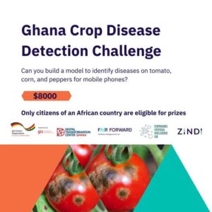 Ghana Crop Disease Detection Challenge