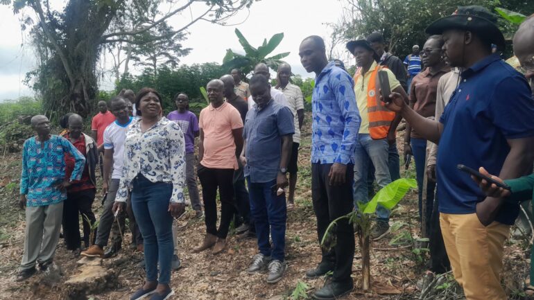 Land restoration programme: Minister for Environment tours cocoa and oil palm farms