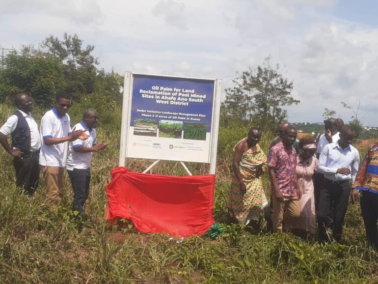 Farmers at Kunasu plant 1,430 oil palm seedlings on reclaimed mine lands