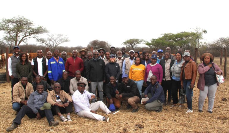 Stakeholders attending the workshop participate in a field visit at a cattle breeding farm in Bulawayo ©FAO/Kevin Mazorodze