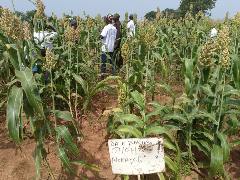 Cross section of participants on the field 