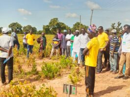 Cross section of participants during the field visit 