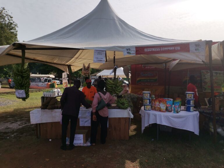 Ghanaian youth possess strength to develop Ghana’s food system – Agrihouse Foundation