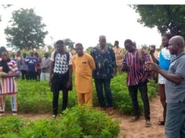 The farmers on the field