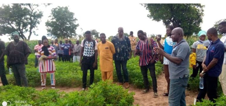 The farmers on the field