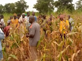 Dr Mahama G. Yakubu interacting with the farmers 