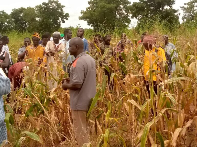 Dr Mahama G. Yakubu interacting with the farmers 