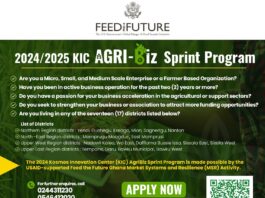 Kosmos Innovation Center AgriBiz Sprint Program for MSMEs in Ghana 2024/2025