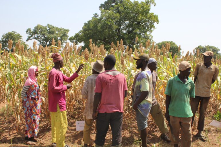 Participants during the field visit 