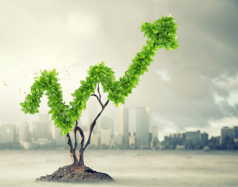 Sustainable Finance Accelerator Program