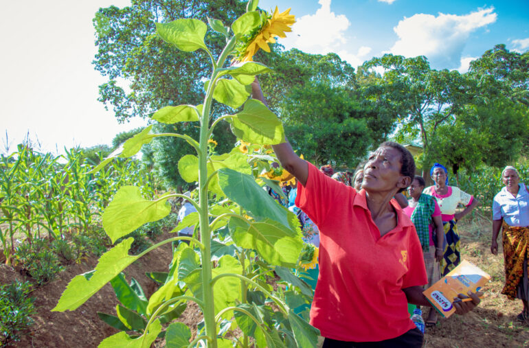 Resilient Agriculture Innovations for Nature (RAIN) challenge
