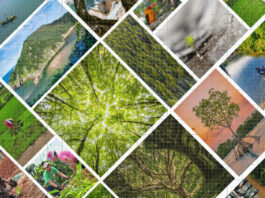 Innovative Climate with-Biodiversity Positive Program 2025 (Between EUR 750,000 to EUR 1.5 million)