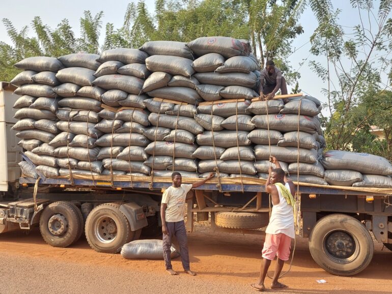 Picture show the impounded cocoa beans 